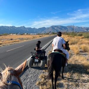 Meet your Posher, Rain